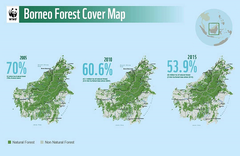 ボルネオ島の森林率の推移