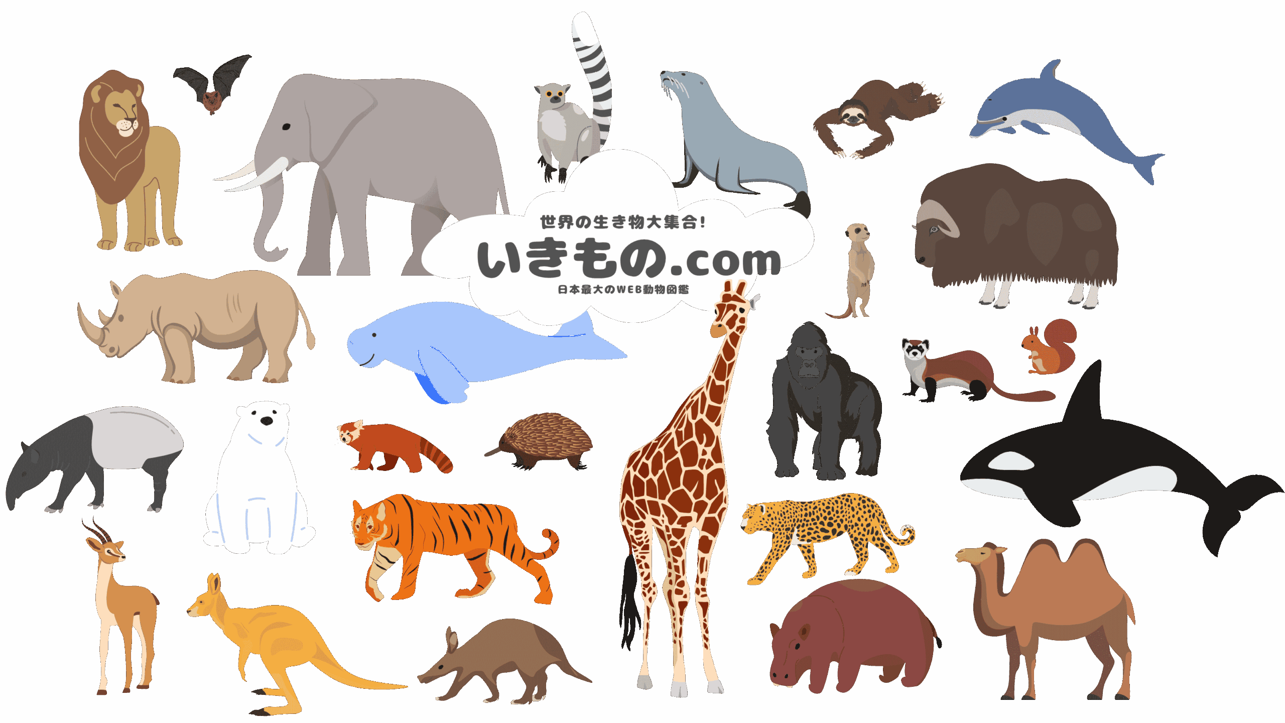 いきもの.com | 世界の動物を紹介する日本最大のWEB図鑑