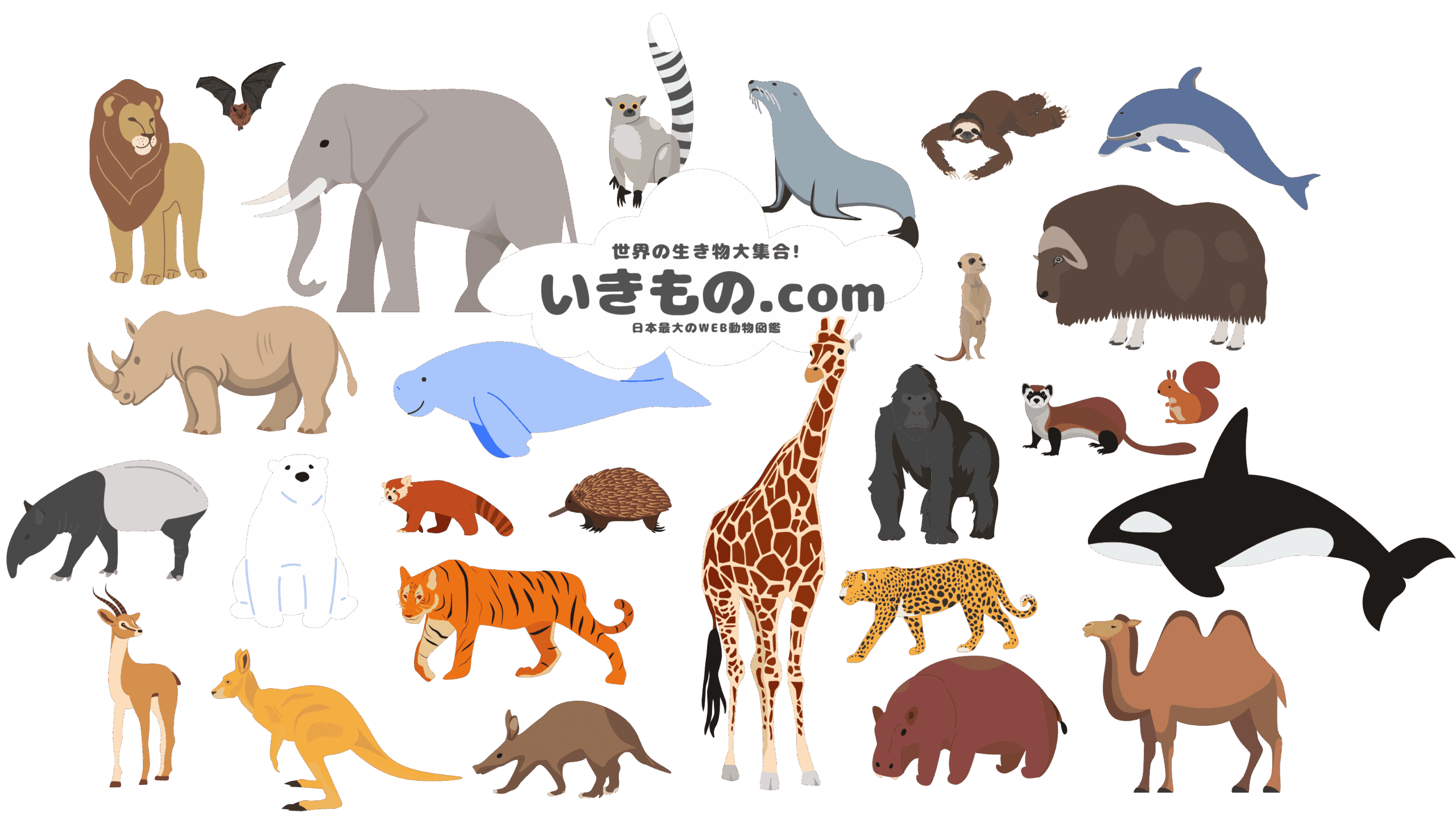 いきもの.com | 世界の動物を紹介する日本最大のWEB図鑑